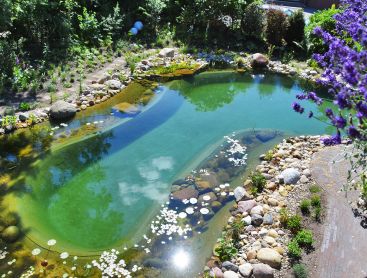 Sanierung und Umbau eines Schwimmteichs mit Steinen und Pflanzen